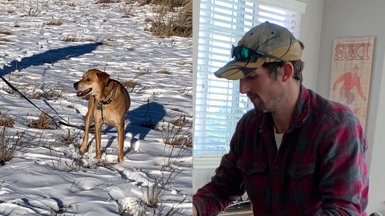 Missing Colorado hiker’s dog found alive as search for owner is suspended