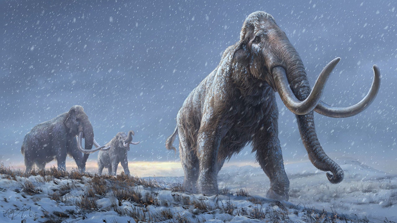 Millionyearold Siberian mammoth DNA breaks record for oldest