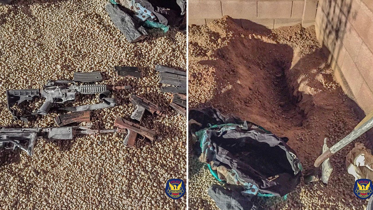 Homeowners in Arizona planting tree in backyard find buried suitcase filled with guns: police