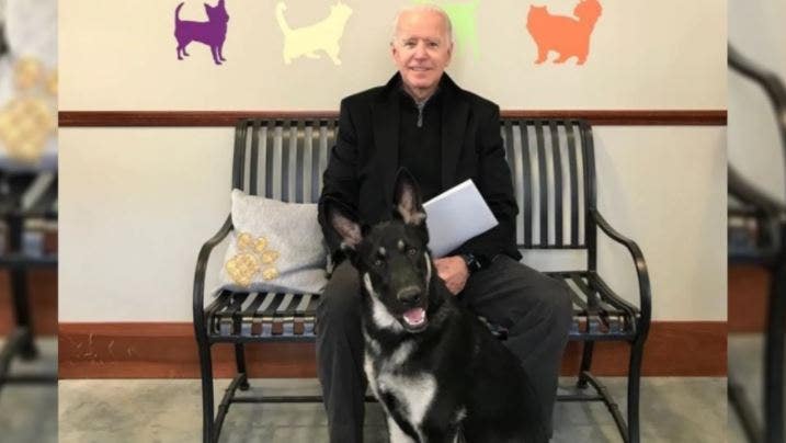The doctor says Biden’s symptoms have improved since his foot fracture while playing with his dog.  Major