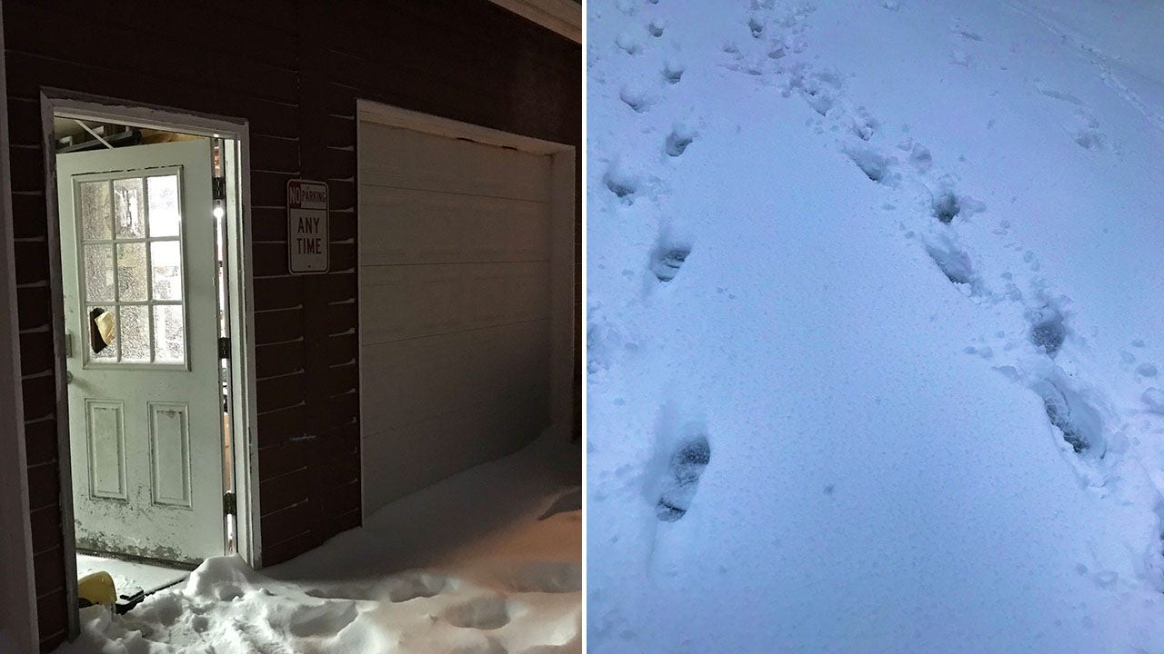 Washington deputies nab burglary suspects after following footprints in the snow