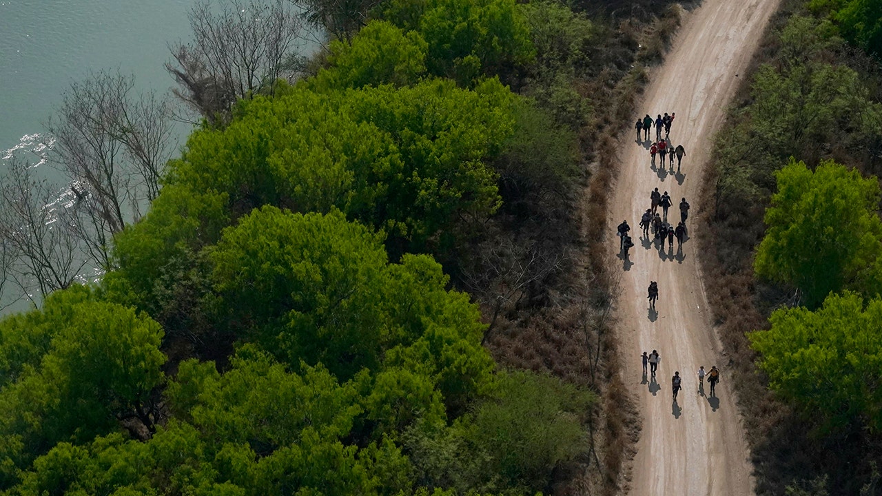 Biden admin asks for government volunteers at the border amid crisis