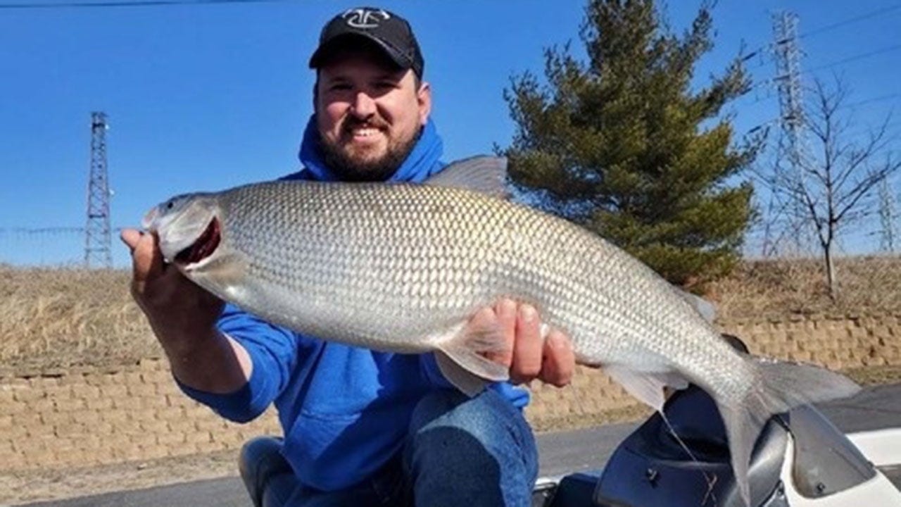 Indiana angler catches record-breaking whitefish