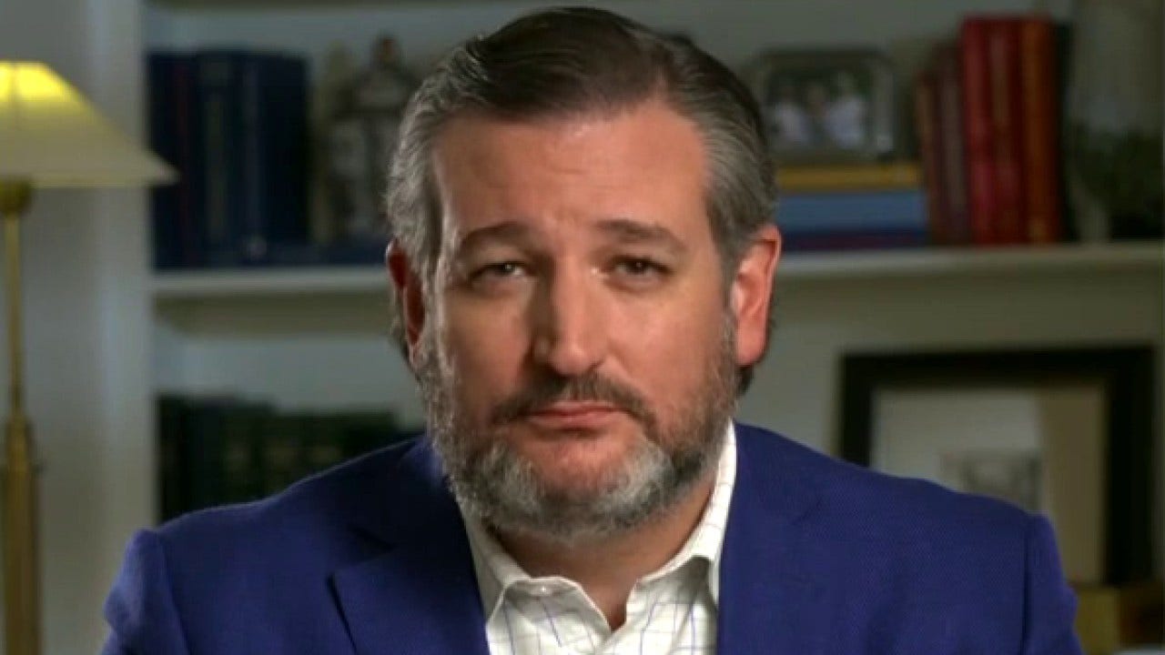 Ted Cruz reflects on what he saw at the southern border: Biden is creating ‘public health menace’