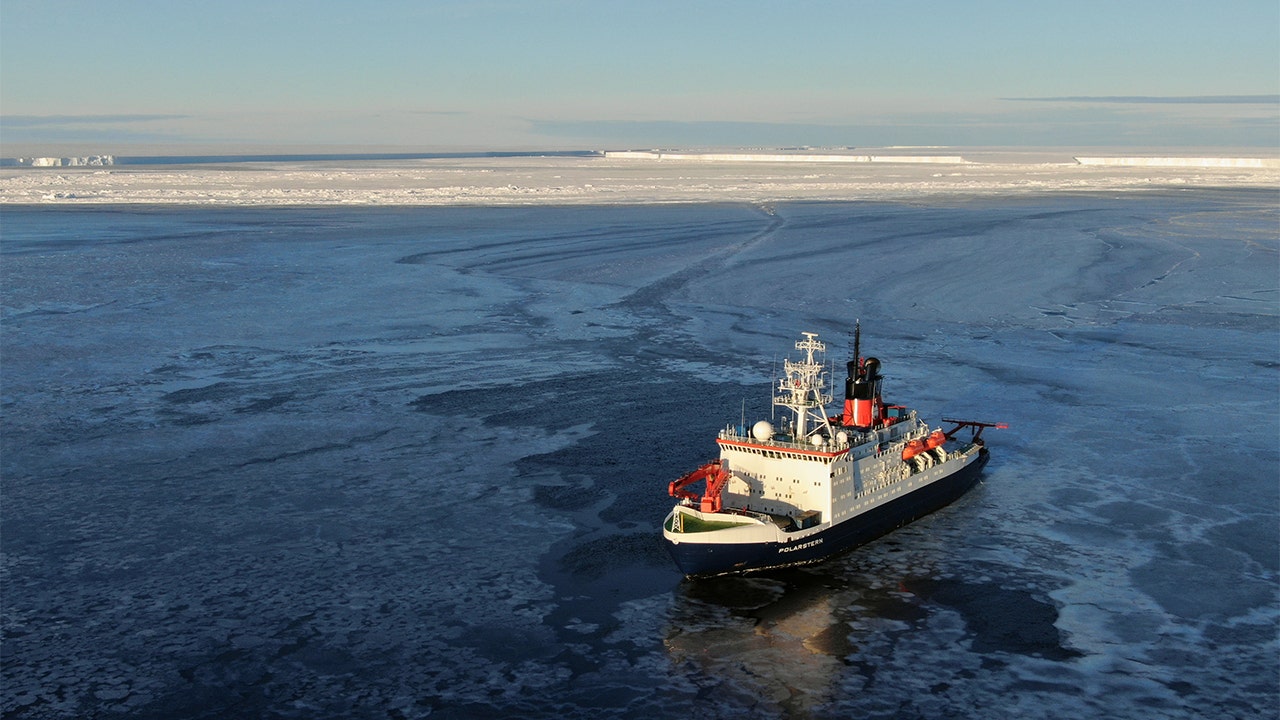 Scientists discover sea life in Antarctica trapped under ice for half a century