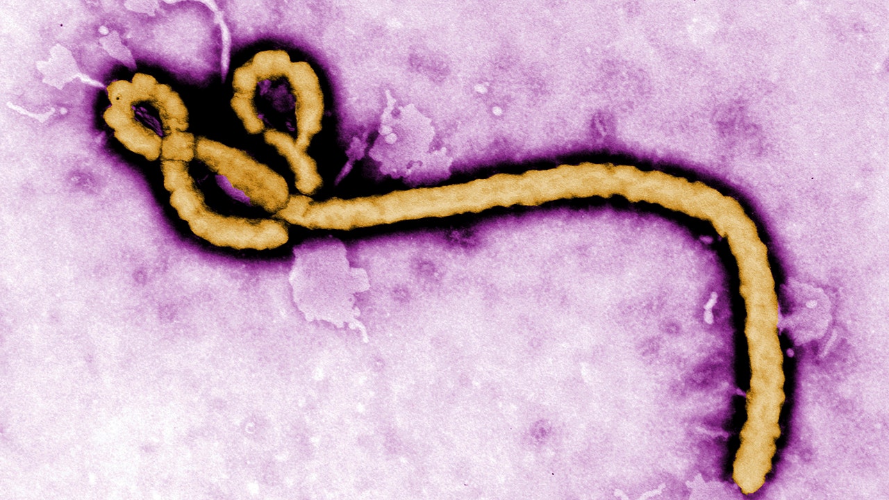 CDC will require travelers to the USA from Ebola-affected countries to provide contact information