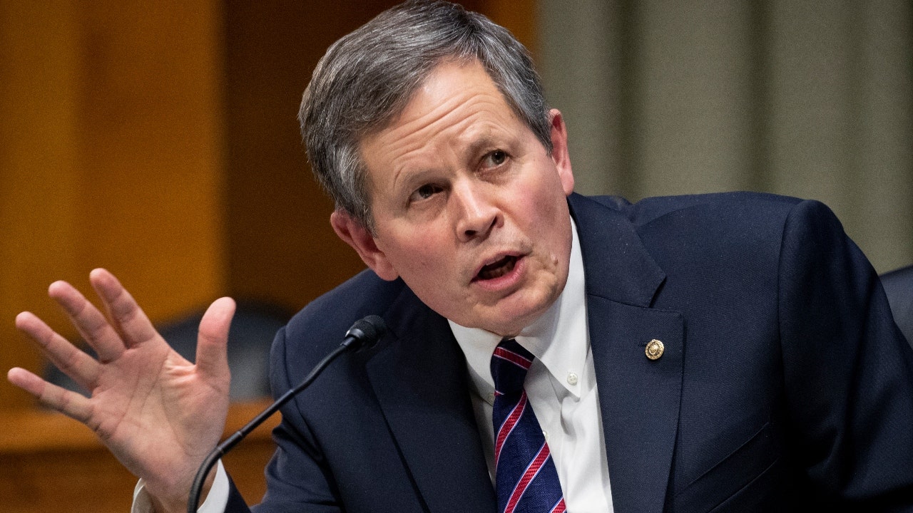 Sen. Daines calls for public vote to ban 'swampy' earmark provisions