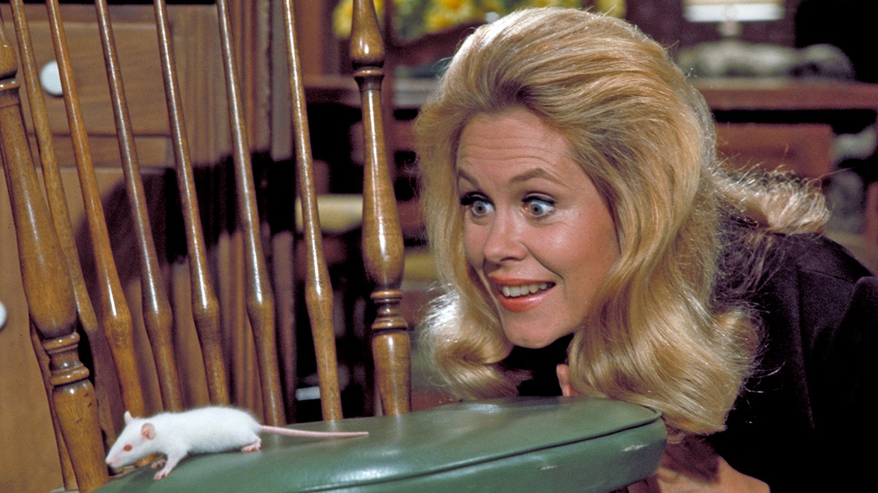 ‘Bewitched’ movie in the works at Sony