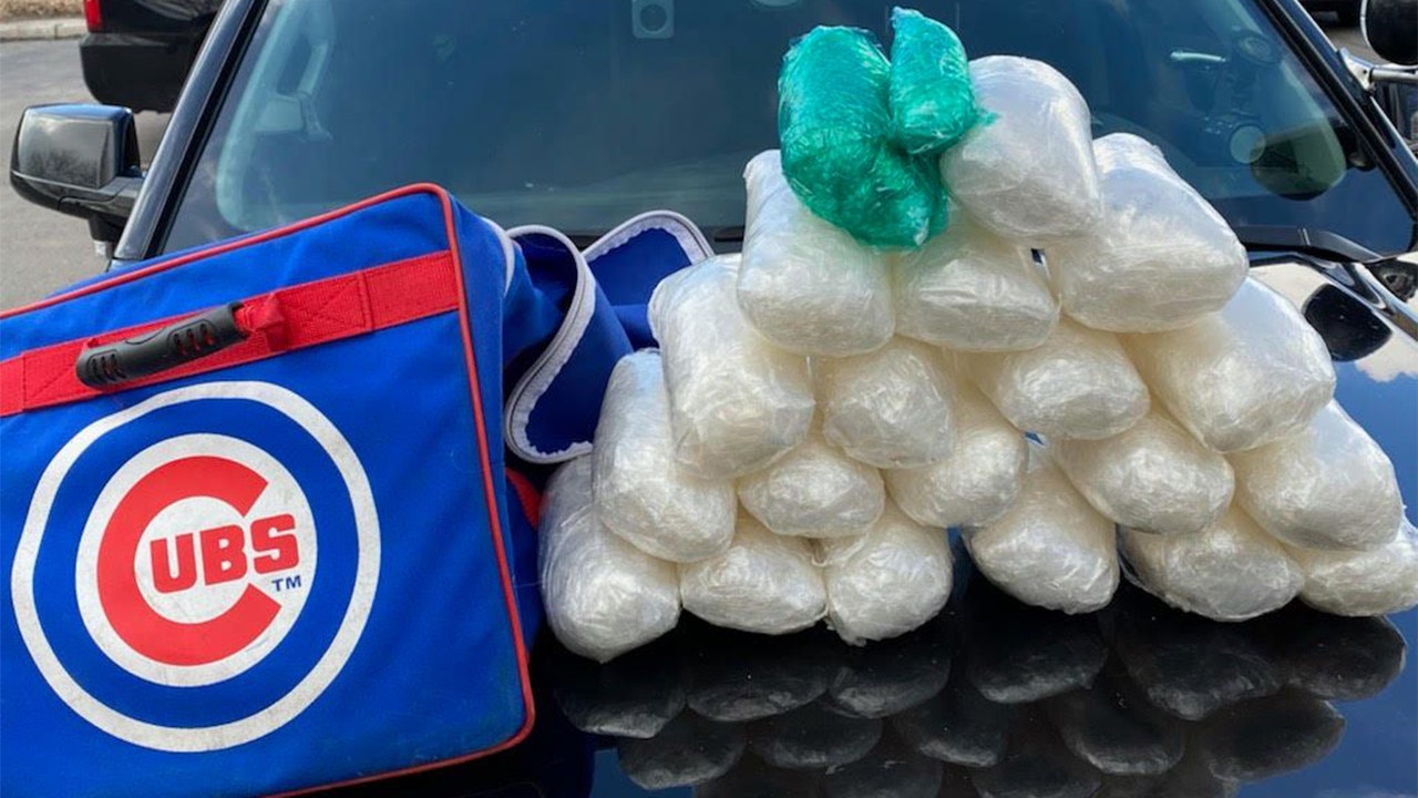 The puppies, Jesus Camargo-Corrales, arrested after police found 21 pounds of meth in team bag