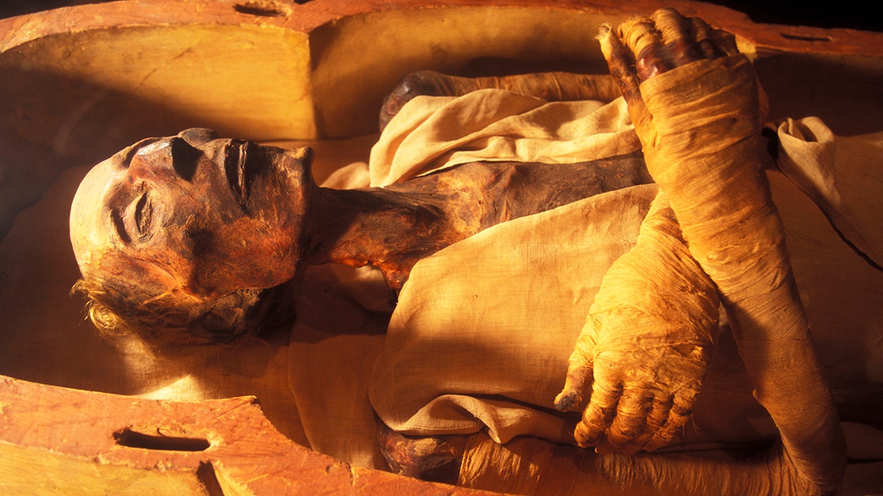 Oldest known mummification how-to guide reveals gruesome embalming details