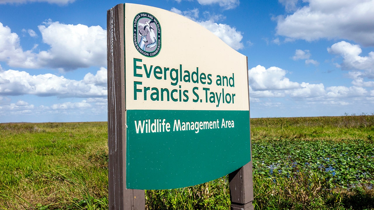 Man arrested after allegedly shooting at Everglades National Park rangers