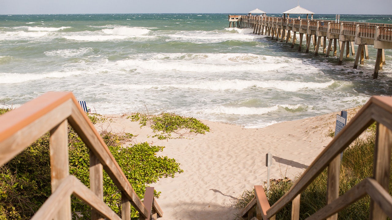 Florida man saves arm after sneaky shark attack: 'Lucky that this wasn't worse'