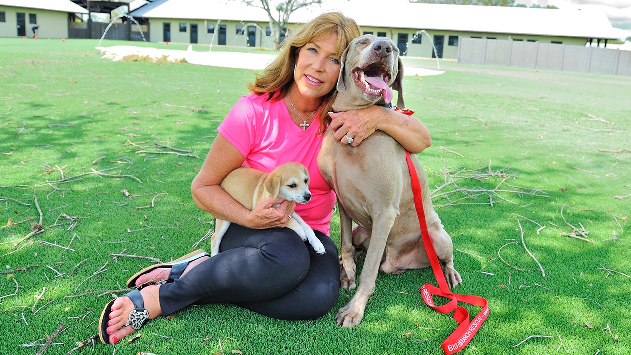 Dogs will die because of liberal media malpractice, Big Dog Ranch Rescue founder says