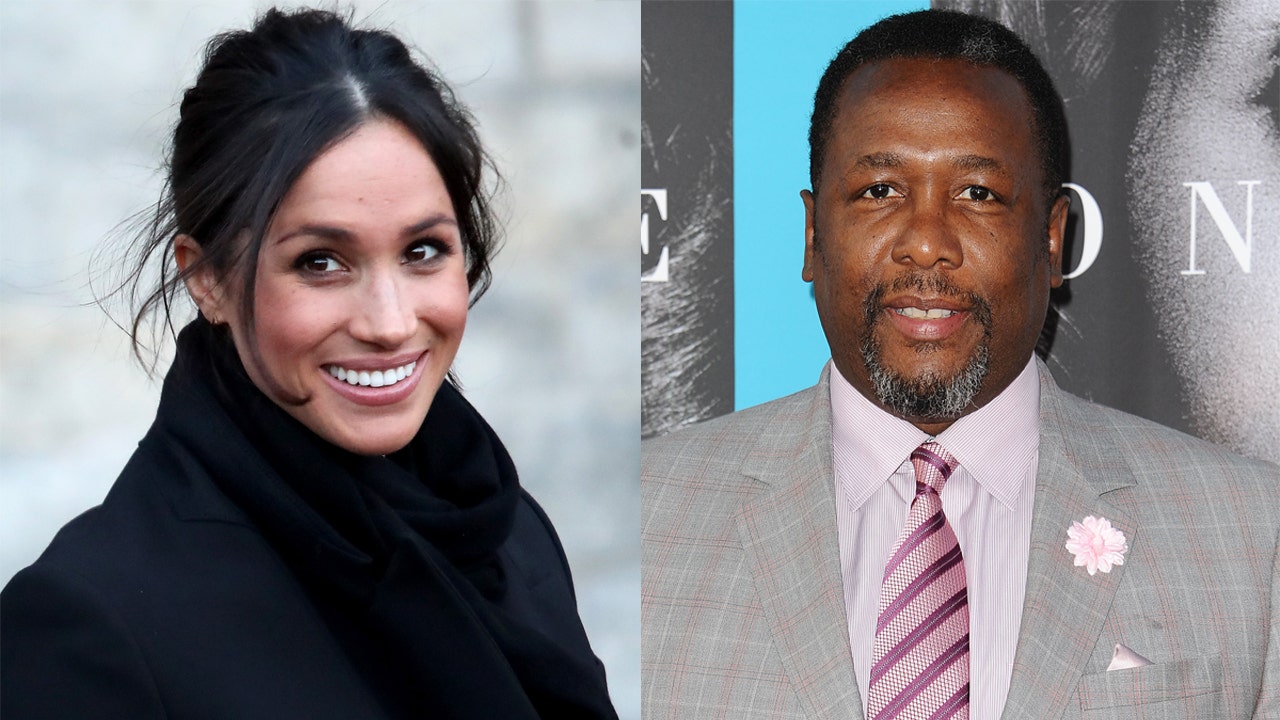 Meghan Markle's 'Suits' co-star Wendell Pierce criticizes Oprah interview for pulling attention from pandemic