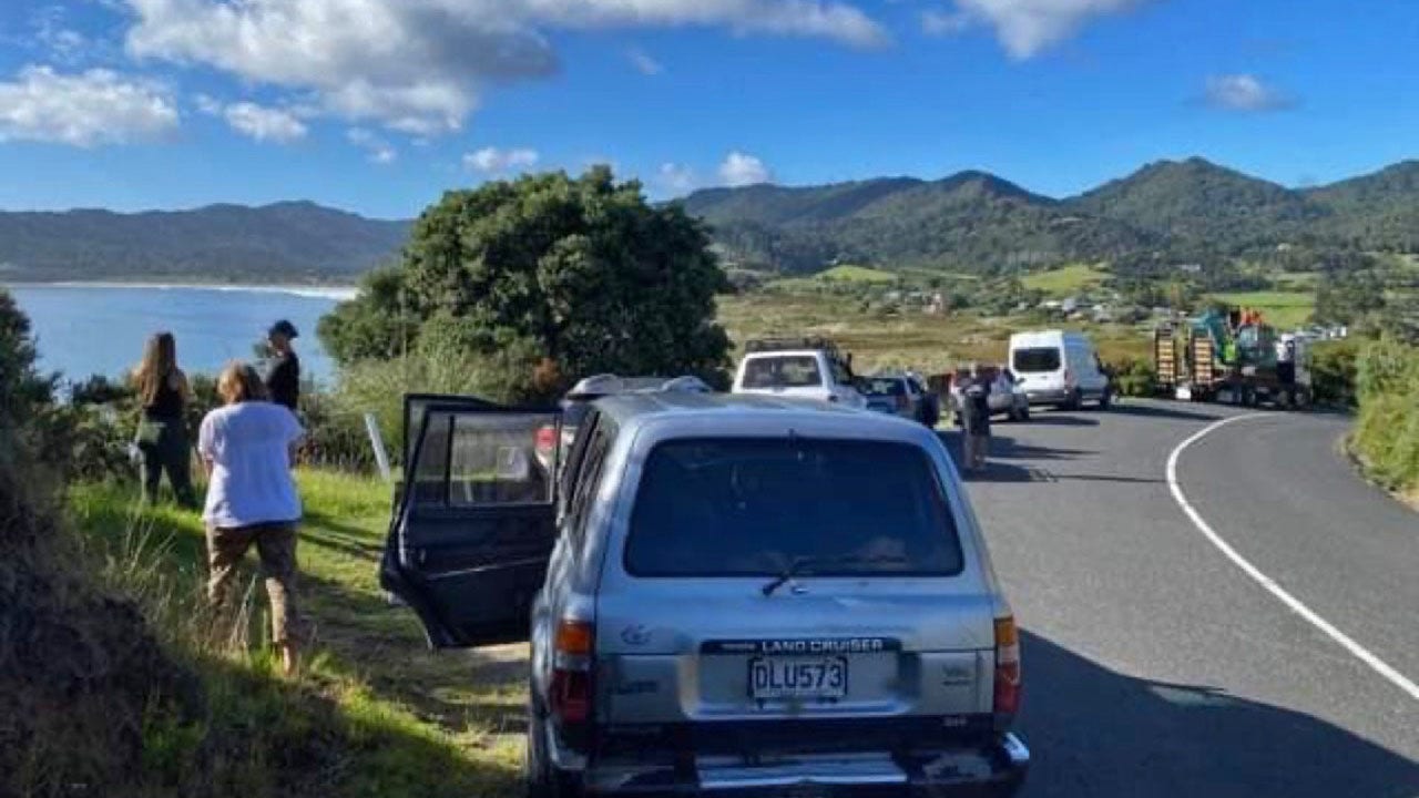New Zealand sees 8.1 magnitude earthquake and raises tsunami warnings after quakes