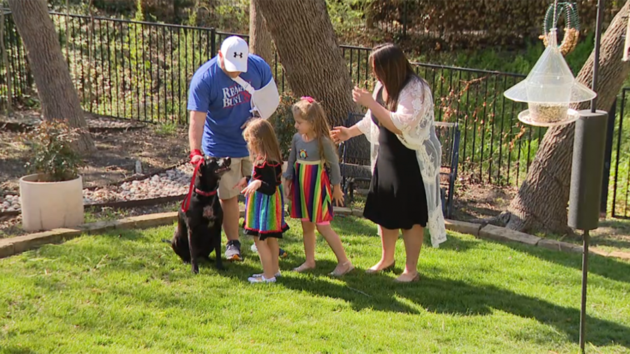 Texas pet helped fight off knife-wielding household intruder, relatives states