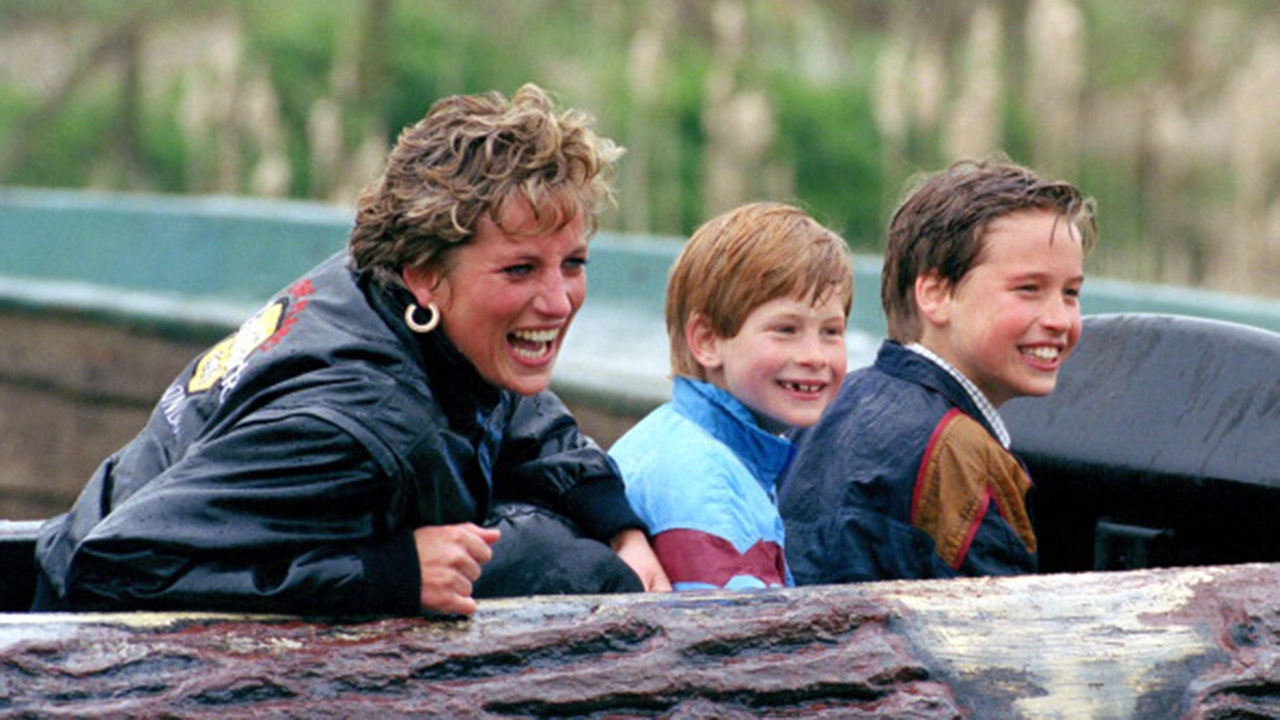 Princess Diana 'wanted to see her boys,' said pal about the royalâ€™s last phone call before her tragic death - Fox News