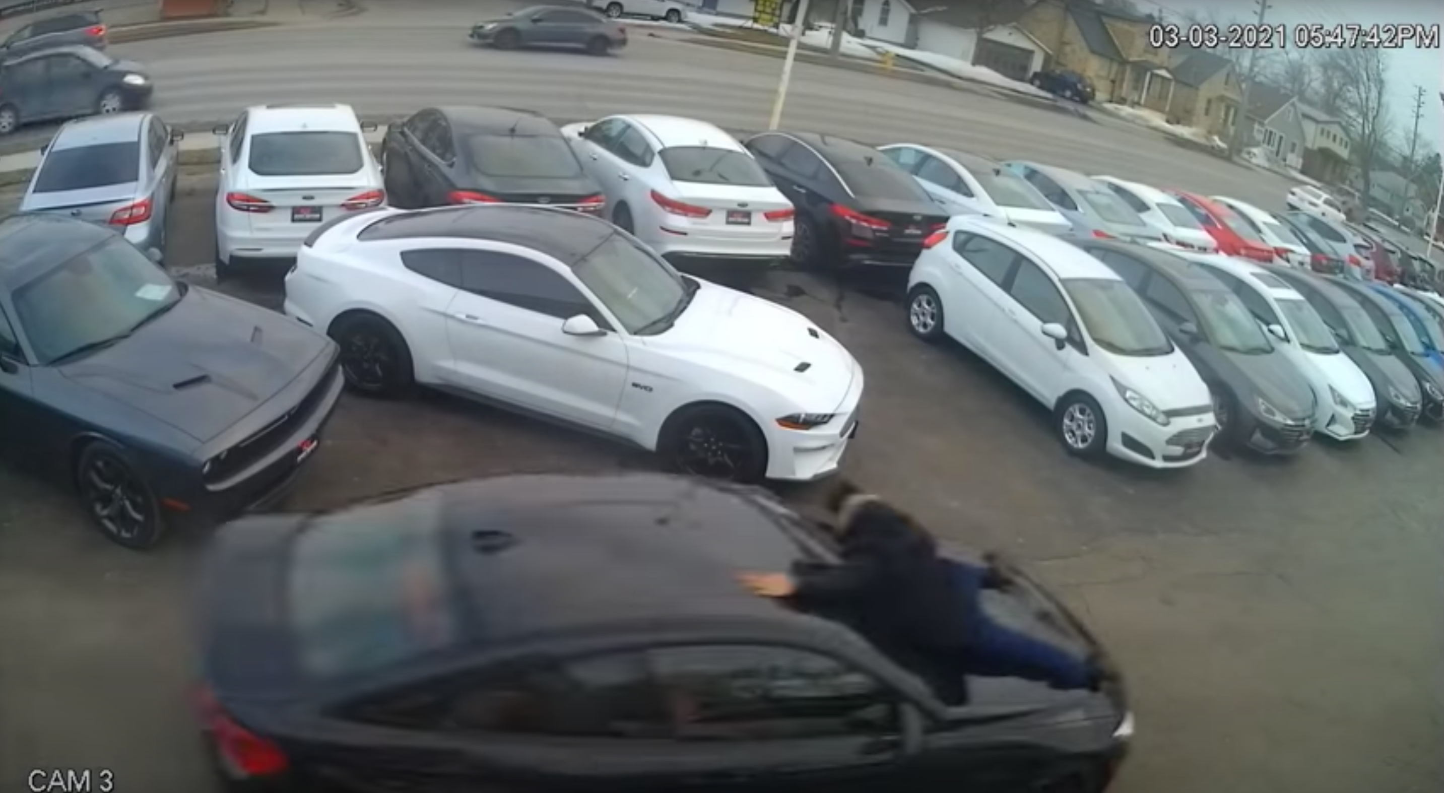 Wild video shows Ontario car salesman thrown from the hood as the thief walks away