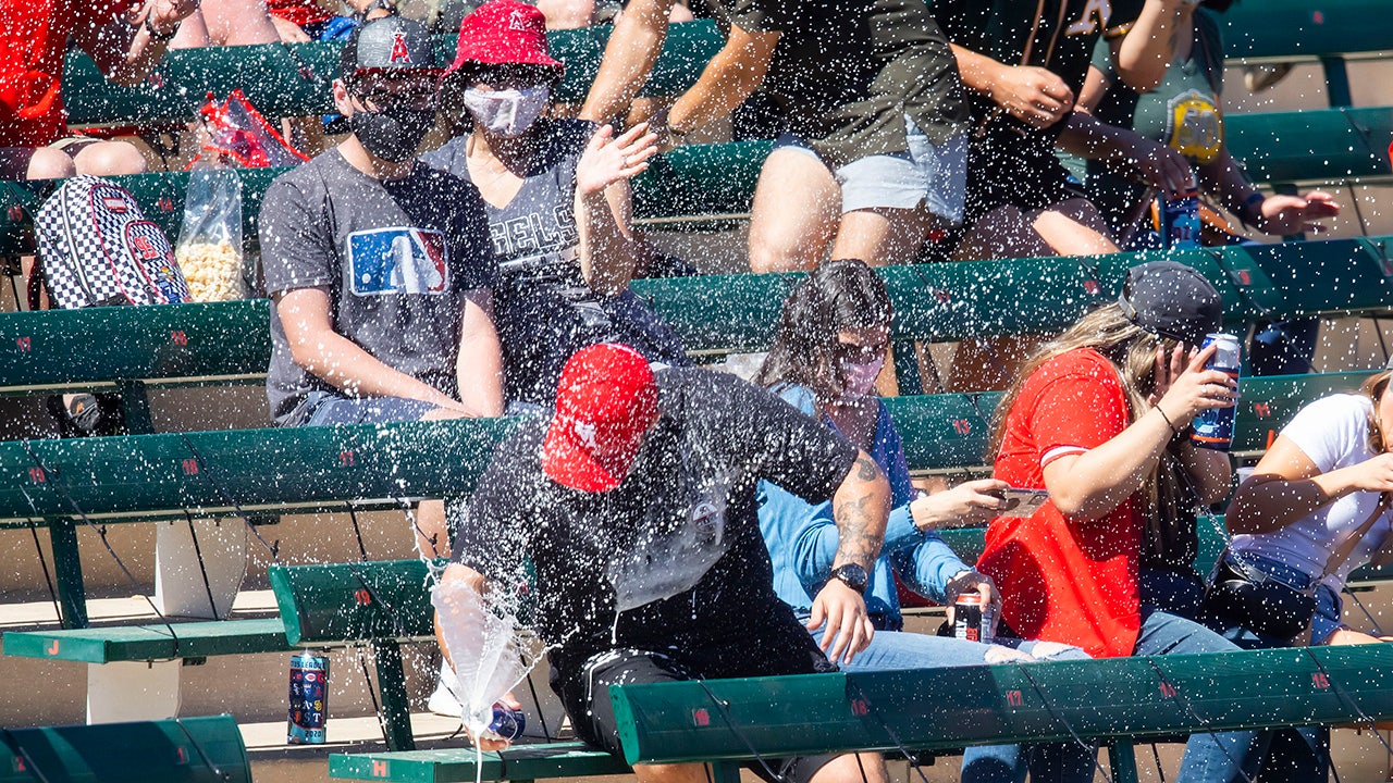 MLB fan's beer explodes when screaming line drive flies into stands