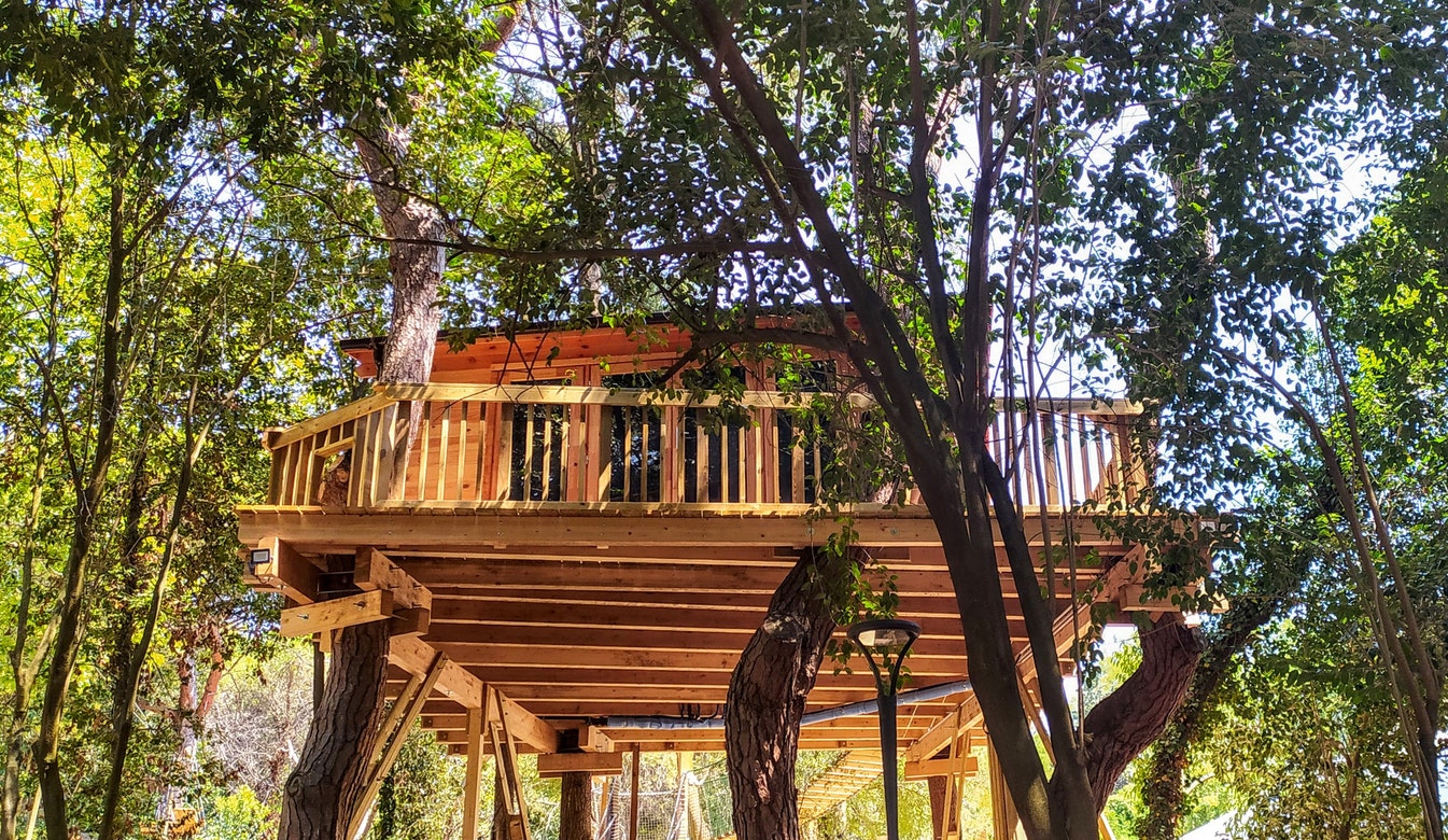 Homeowner told to take down popular treehouse Airbnb because it's not on his property