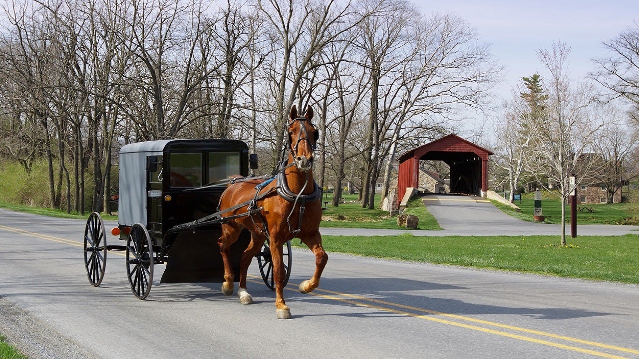 Amish community may have reached coronavirus ‘herd immunity,’ health official says