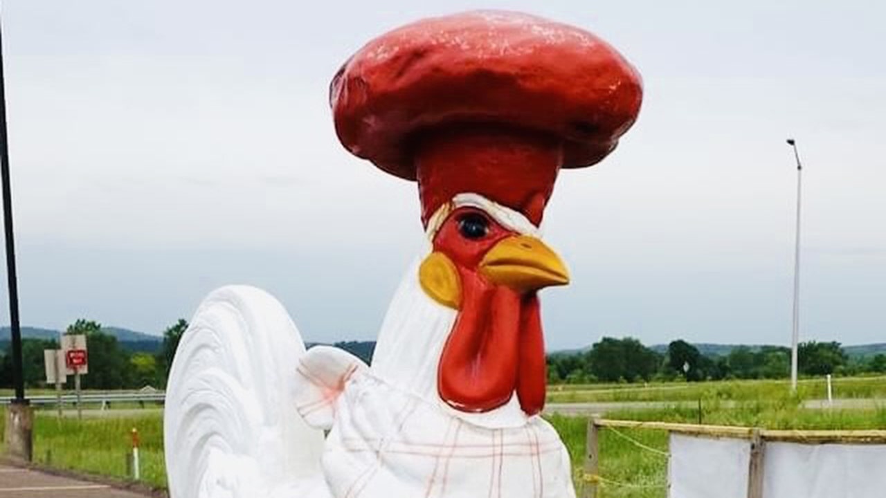 Wisconsin restaurant offers $1G reward to get its giant rooster back