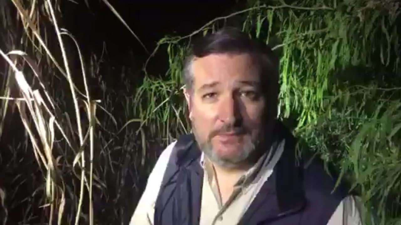 Details of Ted Cruz seeing ‘Biden Cages’ packed with migrant children on the Texas-Mexico border