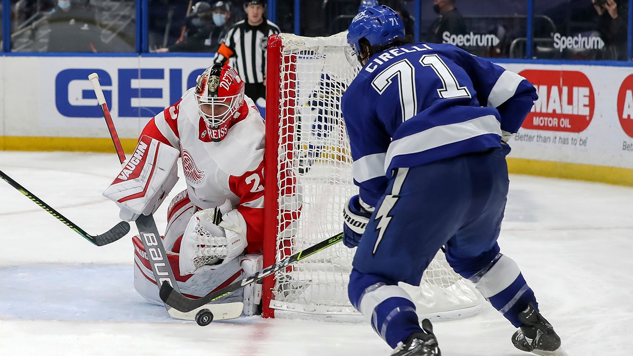 Reds Wings score 3 in 2nd, end losing streak in Tampa, 5-1