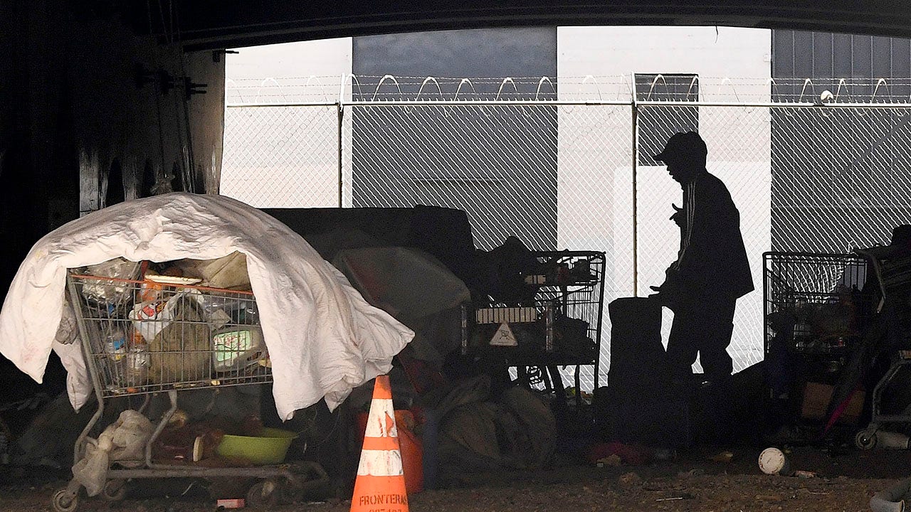 California homeless camp fire damages 2 bridges, disrupts public transportation