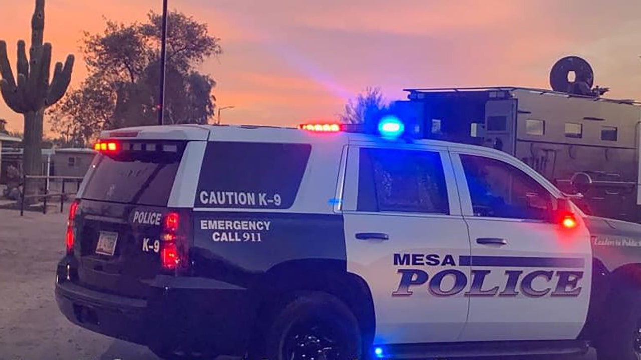 Arizona police find toddler, man and 2 dogs dead inside home: report