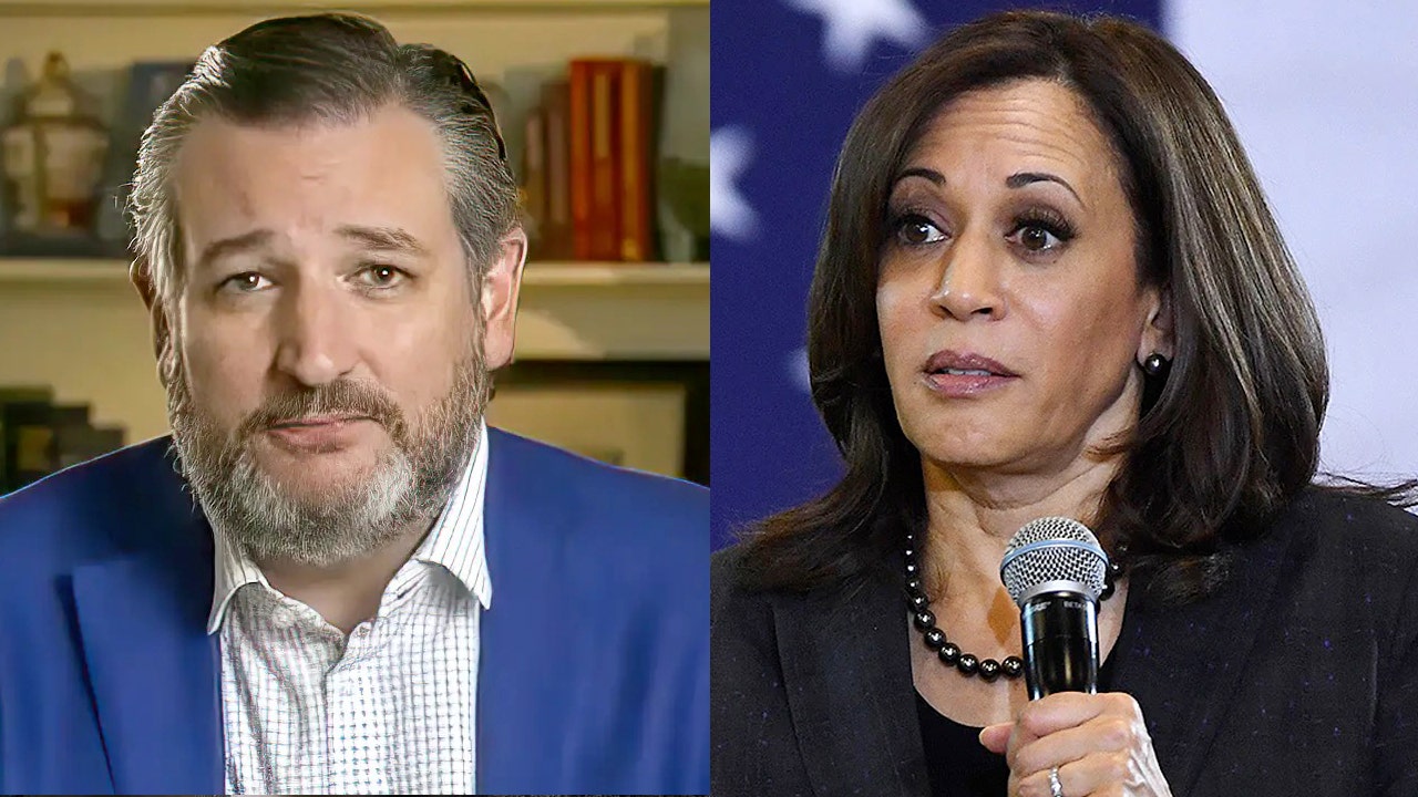 Ted Cruz says VP Harris' 'GPS got confused,' sending her to wrong border