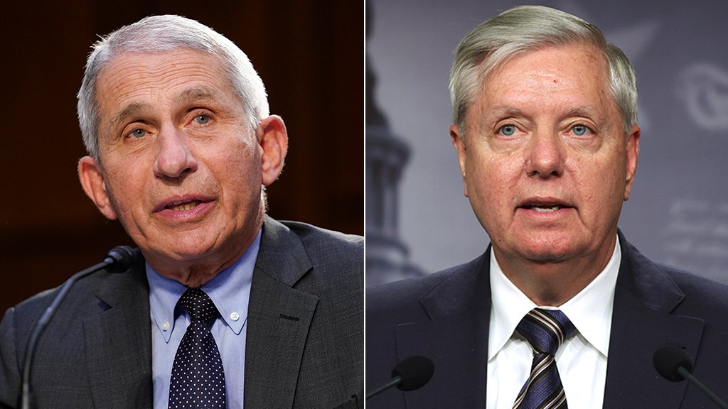 Lindsey Graham tells Fauci to go to border and see 'biggest super spreader event in the nation'