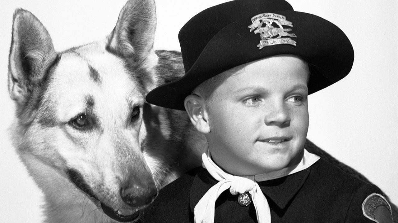 Lee Aaker, ‘Adventures of Rin Tin Tin’ child star, dies at 77