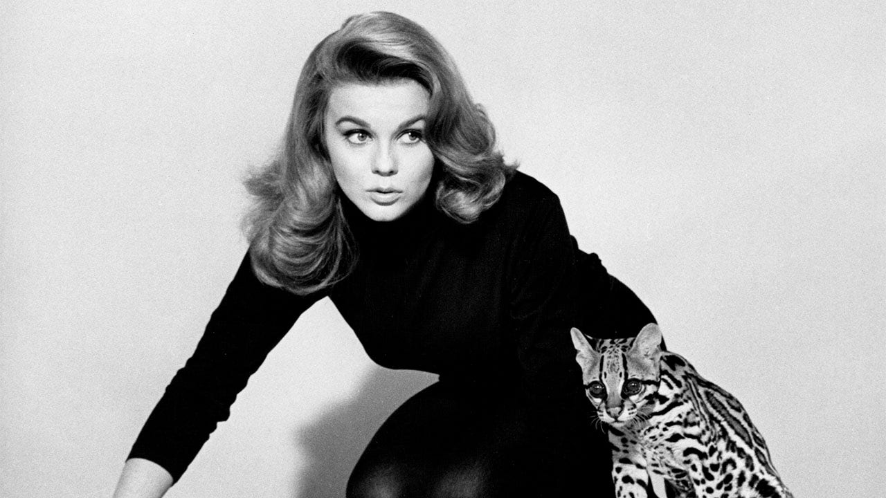 Ann-Margret reflects on ‘Viva Las Vegas,’ visiting troops in Vietnam: ‘Being with them has been in my heart’