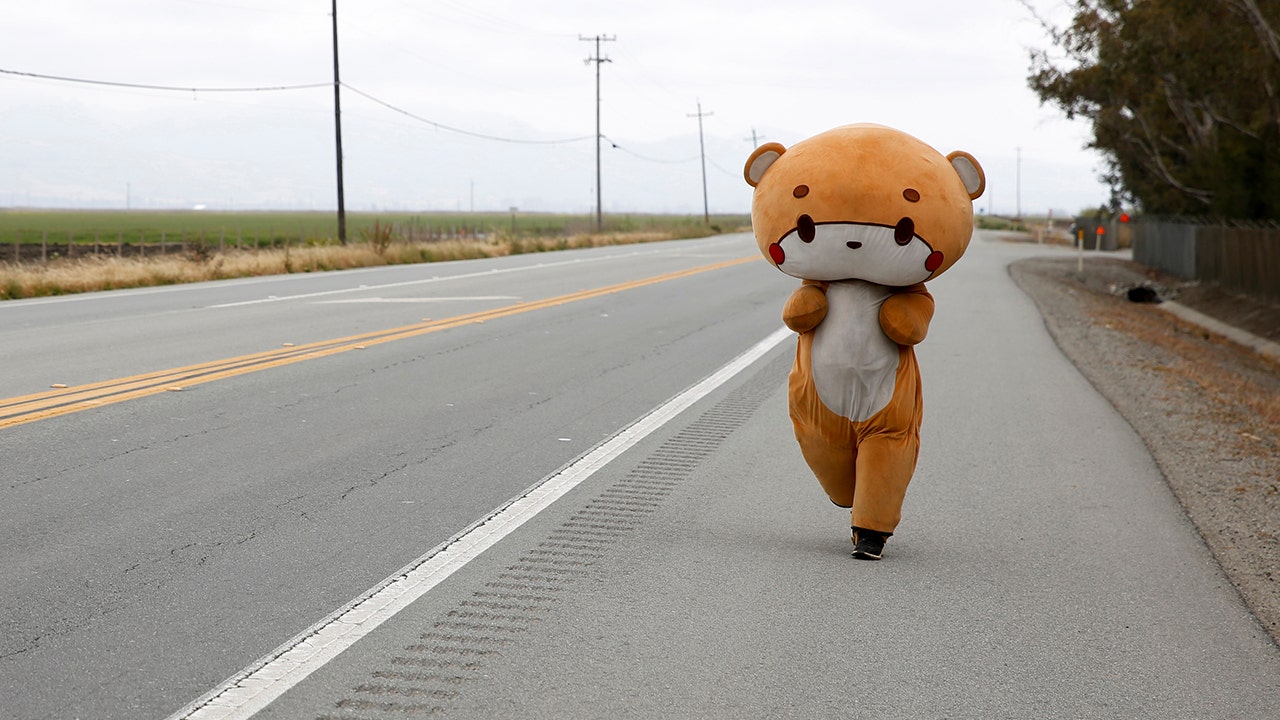 California man walking from LA to San Francisco in bear suit for charity