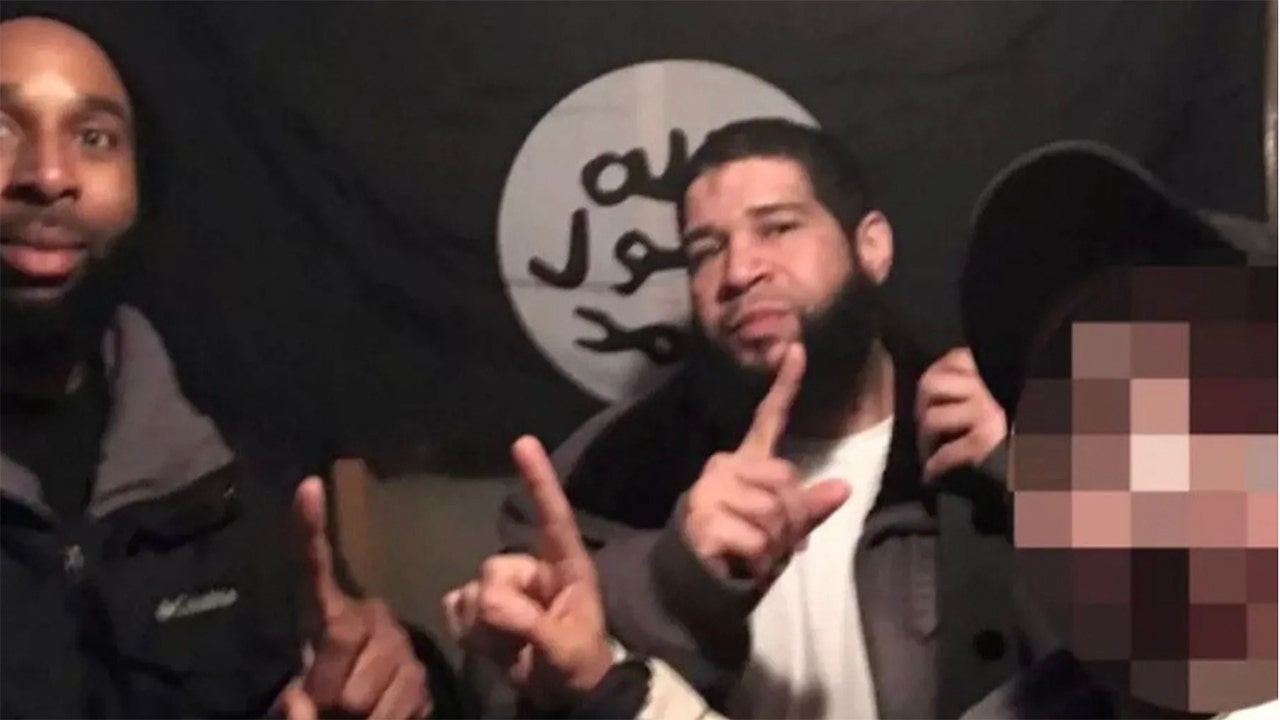 Illinois man turned wannabe ISIS terrorist sentenced, tells judge he’s a big 'teddy bear'