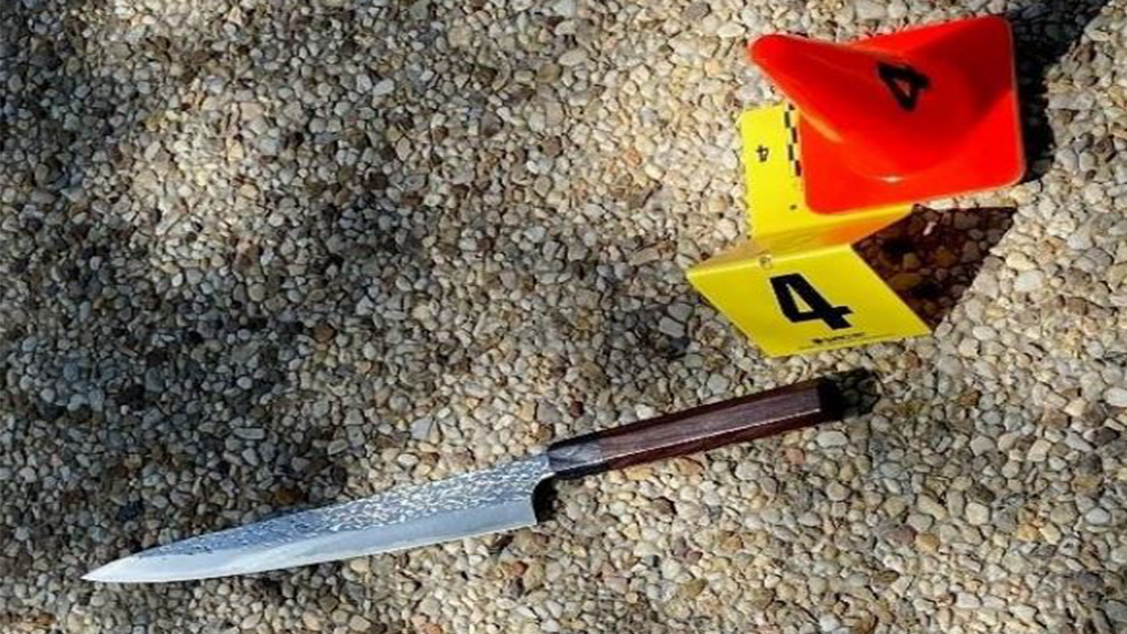 Weapon used in DC Capitol attack revealing killed officer