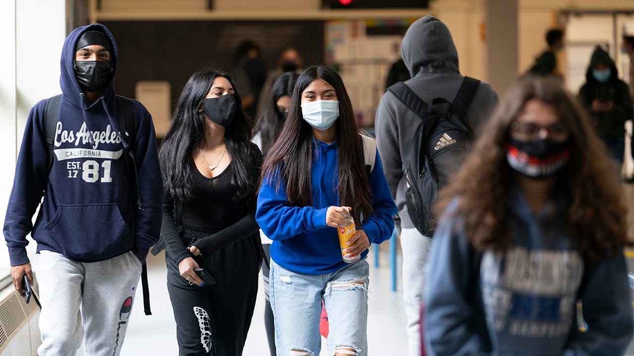 Illinois school says 'staff member' who called student 'piece of sh--' over mask dispute has resigned