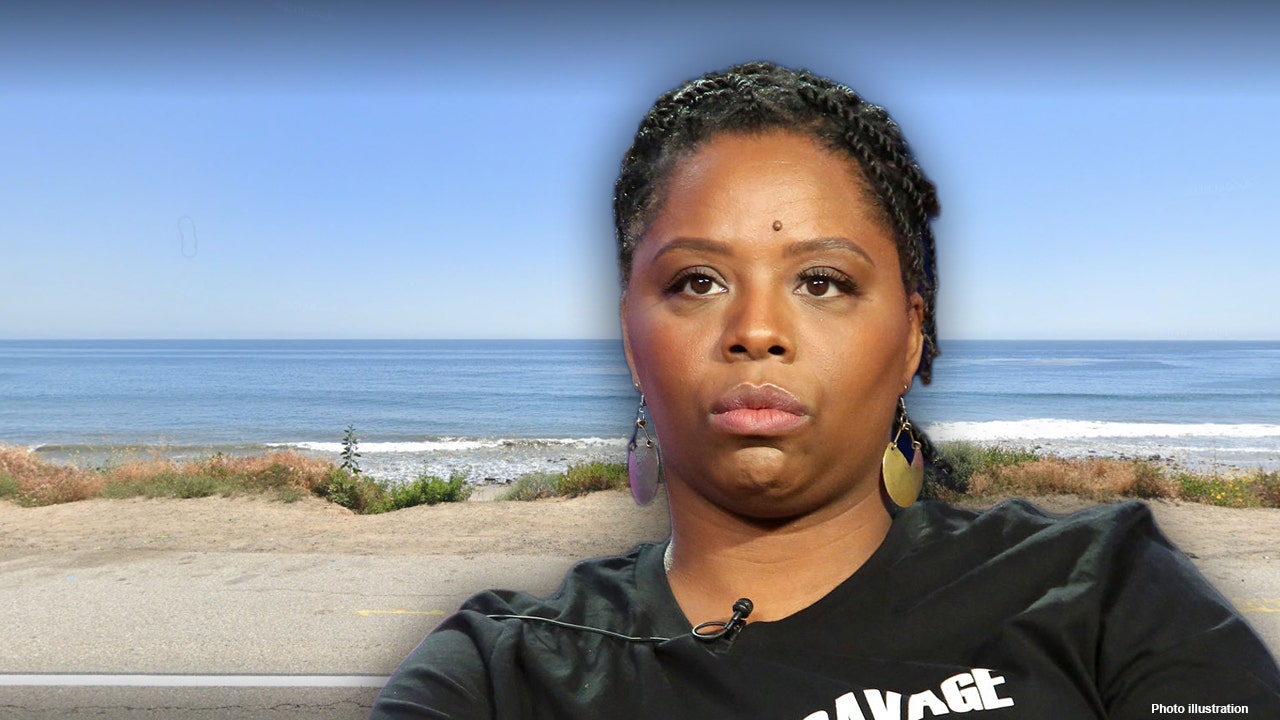 BLM co-founder's group spent $26,000 at luxury Malibu resort
