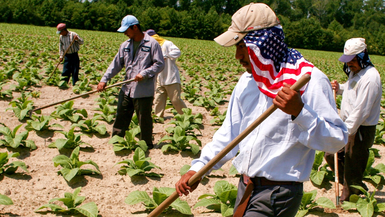 Biden admin mulls move to open pathways to green cards for temporary agricultural, seasonal migrant workers