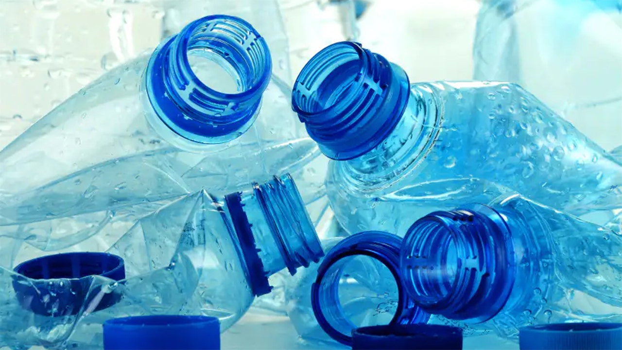 BPA-like chemical raising concern of ‘alarming’ brain damage: study