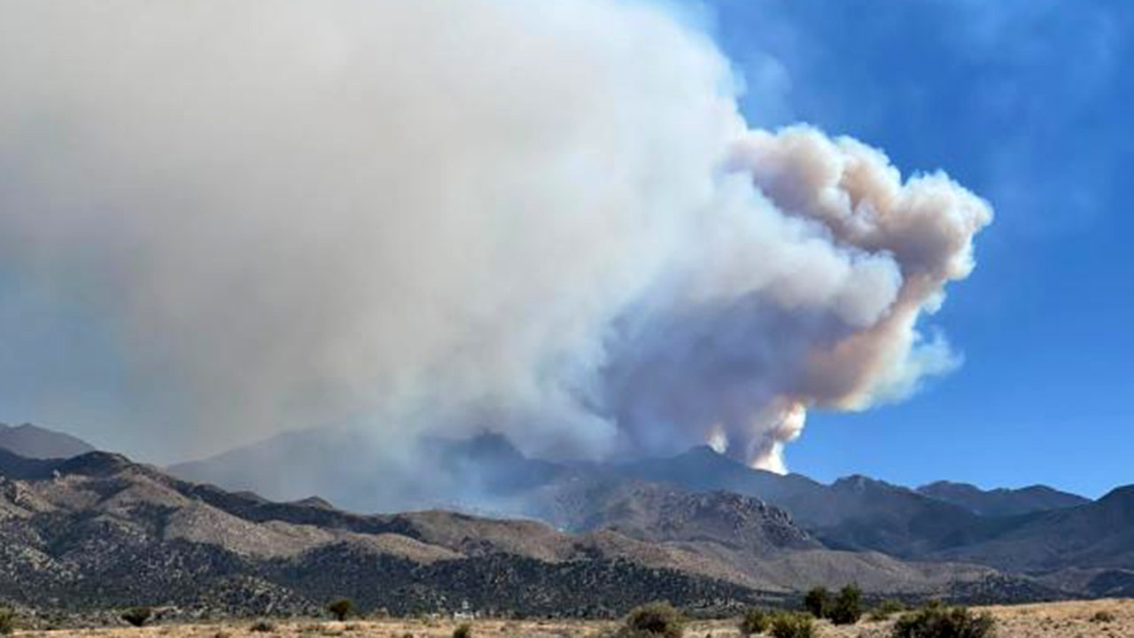 Arizona's Flag Fire balloons in size, prompting evacuations - Vimarsana News