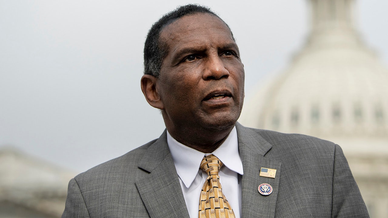 Burgess Owens: US history being 'stolen and rewritten' by CRT; students should be taught about Black founders