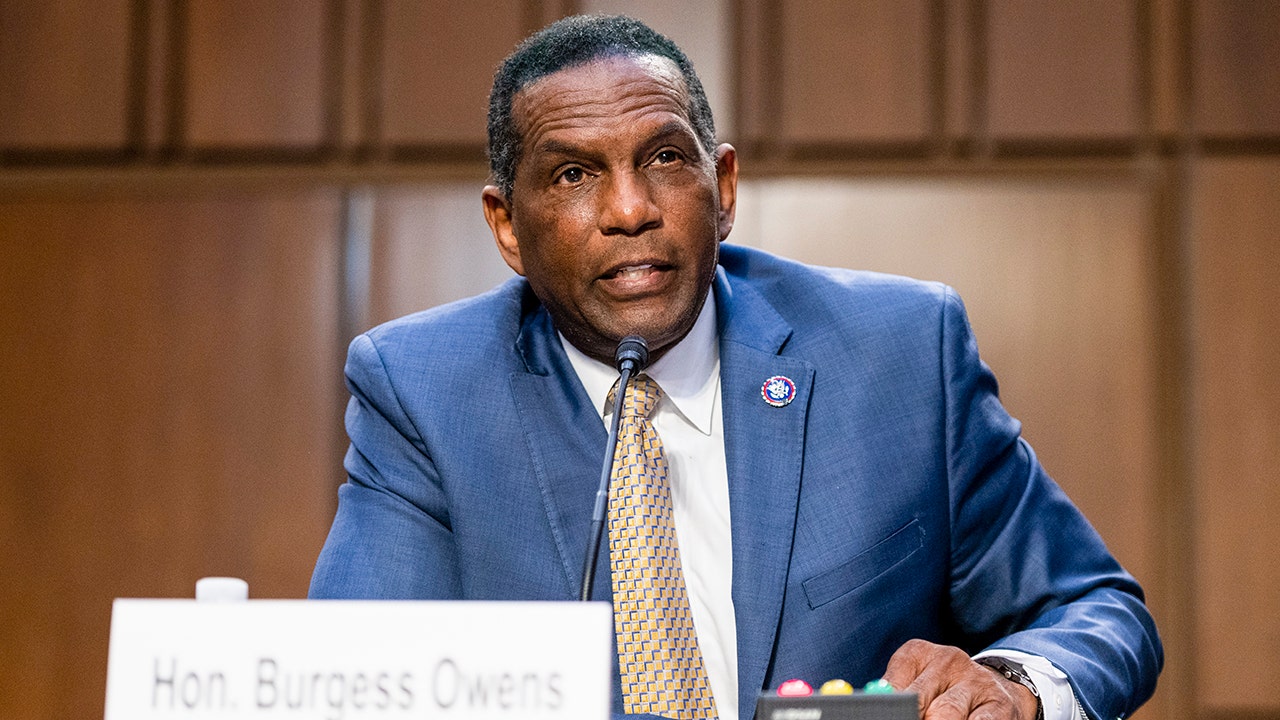 Burgess Owens laments Dems' lack of 'abortion equity,' says clinics target Black women