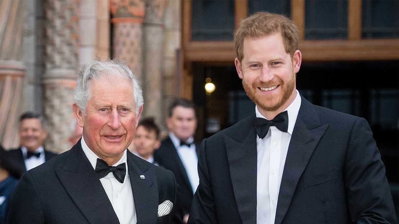 Prince Harry rips Prince Charles' parenting, suggests royal is the reason he 'suffered'