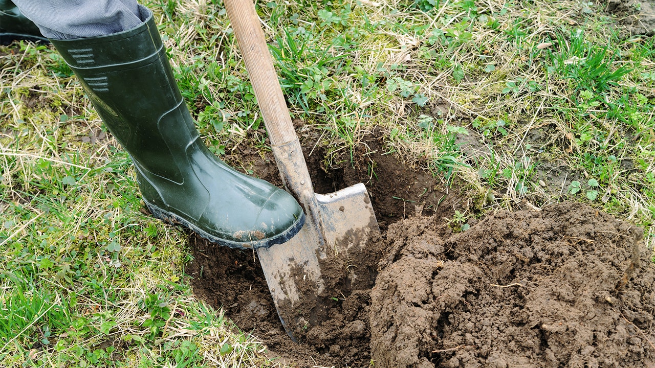 TikTok user digs for 'treasure,' finds septic tank in own backyard