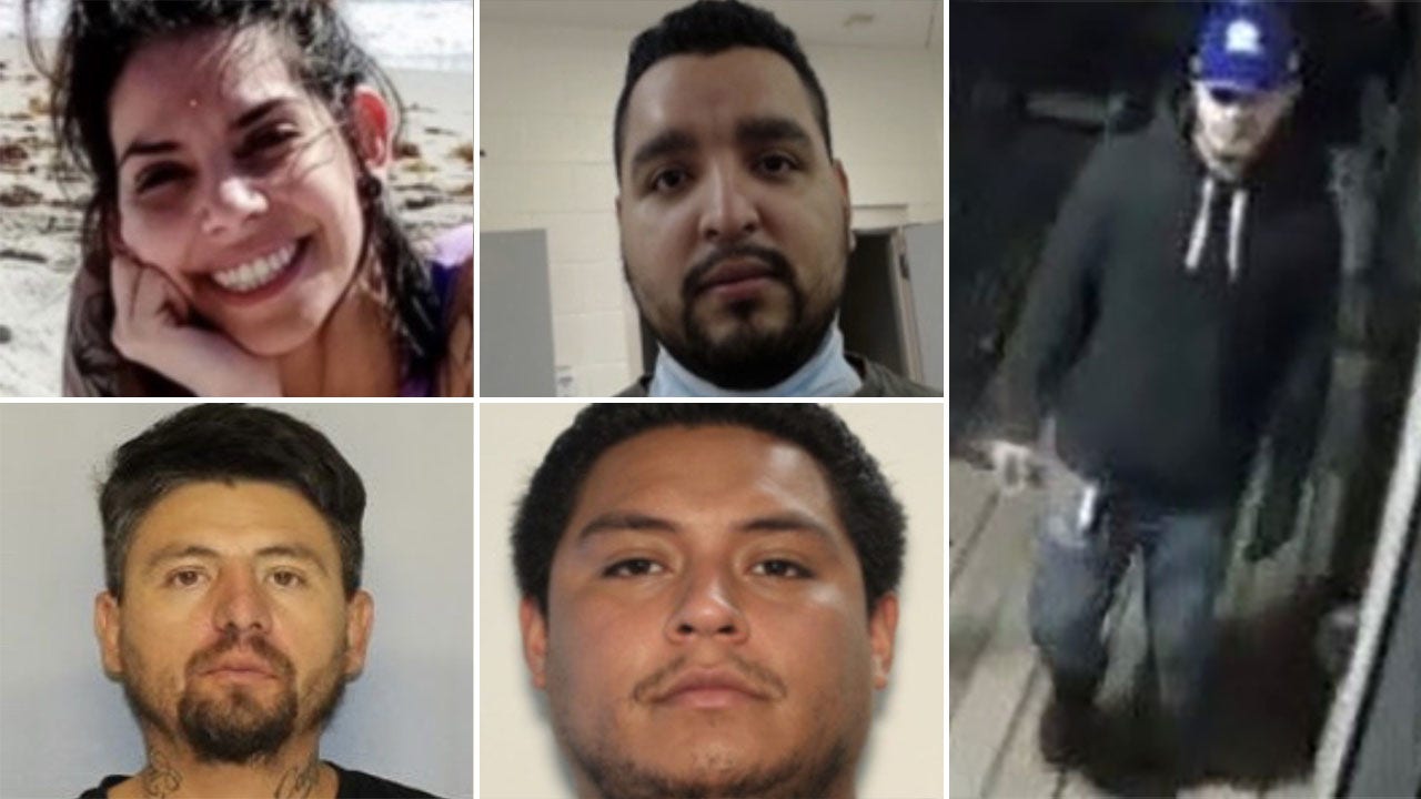 Georgia mom’s death leads to 8th suspect arrested in Mexico: report