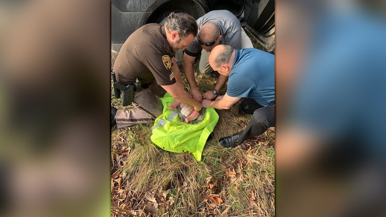 Michigan delegates rescue abandoned 4-month-old left in forest
