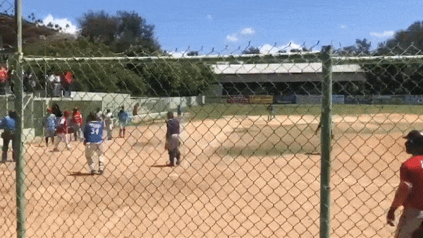 Dominican Republic baseball player assaults umpire with bat, gets arrested: report