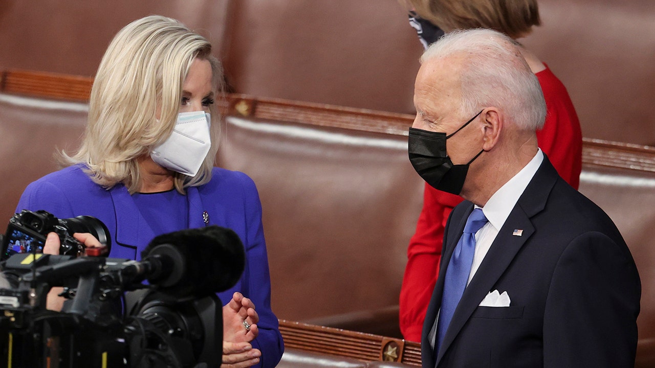 Biden, when asked about Liz Cheney, says 'I don't understand Republicans'